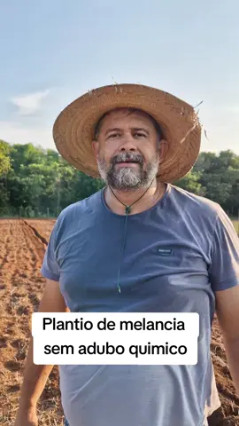 Existem adubos naturais como estercos de animais e cinzas de madeira para fazer seu plantio. Vem comigo. #solo #agro #campo #roça #agricutura 