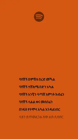 Mastewal Eyayu - Meteche Neber [Official Lyrics] #creatorsearchinsights 