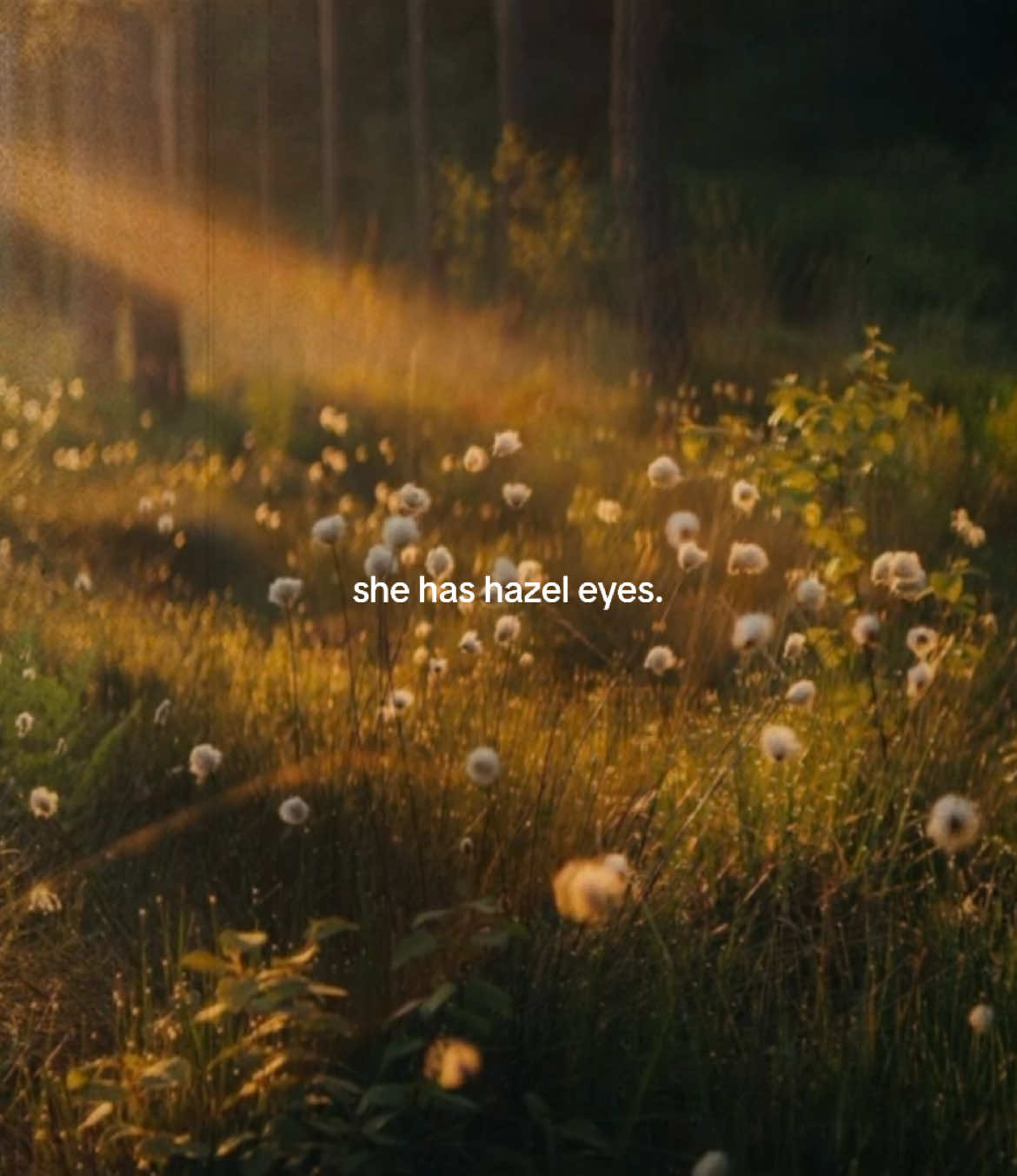 🤎💚 #fyp #hazeleyes #eye #eyes #hazel #aesthetic #foryou #foryoupage #fy #viral #eyecolor 