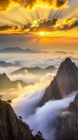 Golden Horizons #nature #earth #landscape #views 