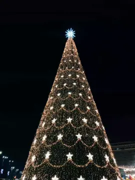 se vino Diciembre🎄🎉🎆 #diciembre#pastorlopez#ausente#fyp#56calderon#musica#findeaño#letrasdecanciones#alegres#arbolitodenavidad🌲#bonito#2024#viralmusica#destacar#pastorlopez#diciembreestaaqui#fypmusic#parati#crgzf#navidad#prosperoañonuevo 