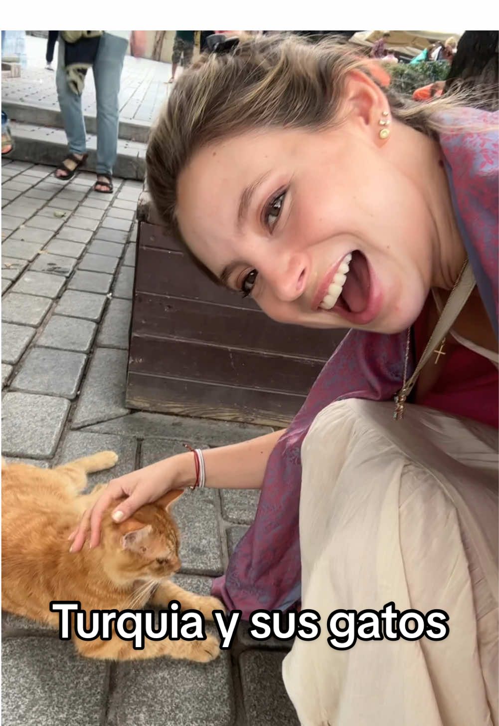 Cuando vas a Turquia por las vistas, pero eres catlover #cat #turkey #turquia #gatos #monumentos #vistas #catlover #istanbul #istanbulcats #catsofistanbul #istanbulturkey #travel #turkeytravel #estambul #türkiye