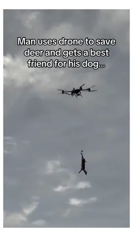 Nobody going believe her #deer #wholesome #longervideos 