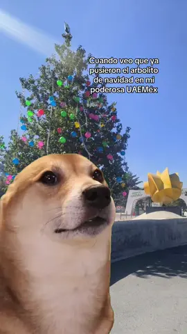 Ya andamos bien navideños 🎄🎅🪅 #uaem #uaemex #somosuaemex #navidad #arbolitodenavidad #arboldenavidad