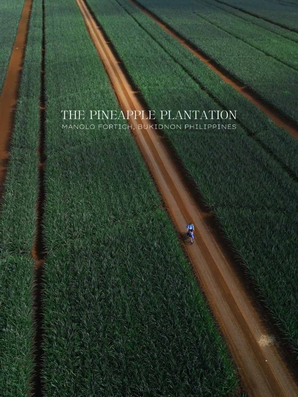 📍 Campn Phillps, Del Monte Pineapple Planttaion,  Manolo fortich, Bukidnon Philippines #philippines #philippinestiktok #travel  #the_ph #topdestinationsph #Sinopinas #goph #discoverphilippines #Philippinetraveller #philippinetravellers #lostinph #goph #travelstoriesph #philippinestravel #WindowSeatPh #ChoosePhillipines #lovethephilippines #beautifulPhilippines #Comeseephilippines #djimini3pro #traveltiktok #travellife #traveltok #traveling #travelling #travelvlog #travelblogger #indonesia #indonesia🇮🇩 #baliindonesia #drone #dronevideo #drones #dronevideo #fyp #fypシ #fypシ゚viral #fypage #fyppppppppppppppppppppppp #fypp #viral #viralvideo #viraltiktok #viral_video #virall #viralvideos #viral Communal Ranch Lover's lane panimahawa ridge Mt. Kulago Mindamora Falls Malaybalay bukidnon Impasug-ong bukid on Roty Peaks Del Monte Pineapple Plantation, camp philips, Manolo fortich