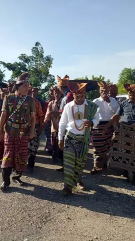 #Nilailah seseorang dari pertanyaannya, bukan dari jawabannya #law #lawyer #Belu 