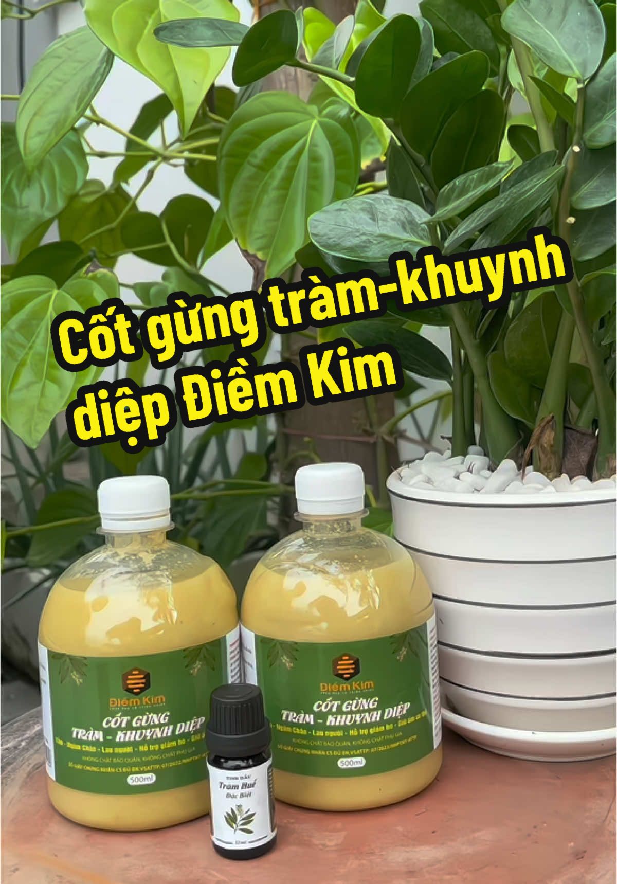 Tinh dầu tràm khuynh diệp điềm kim mua combo2 chai tặng tinh dầu tràm huế#minhngocshop122 #xuhuong #xuhuongtiktok2024 #xaykenhtiktok #cotgungtramkhuynhdiep 