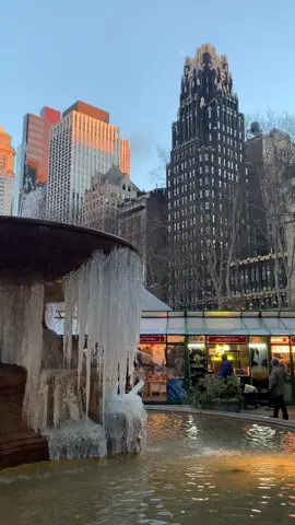 The @Bryant Park NYC Christmas Tree has been lit!🎄✨ #nyc #newyork #newyorkcity #nyctiktok 