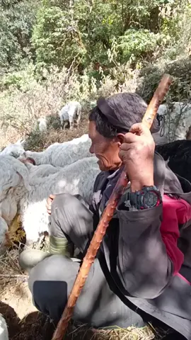 सारई रमाईलो छ नेपाल को बसाई पनि #Myagdi #lover#fvy 