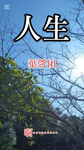 #人生 #葉啓田 #台語歌曲 #閩南語歌曲 #經典老歌 #好歌分享 #回憶 #懷念 