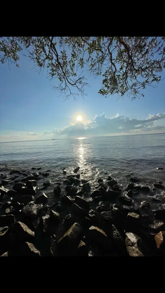 “anh đã lớn hơn thế nhiều.”