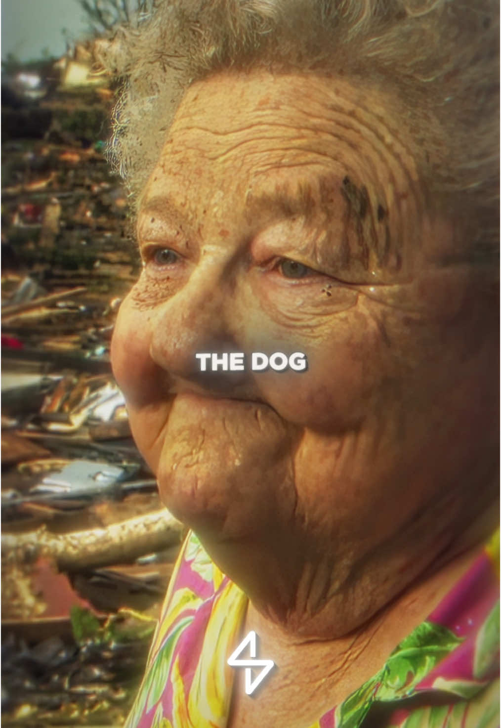 They Found Her Dog During An Interview…🥹❤️ #inspiration #viral #dog #wholesome #interview 