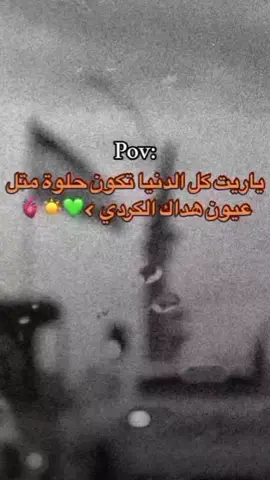 بس ياريت