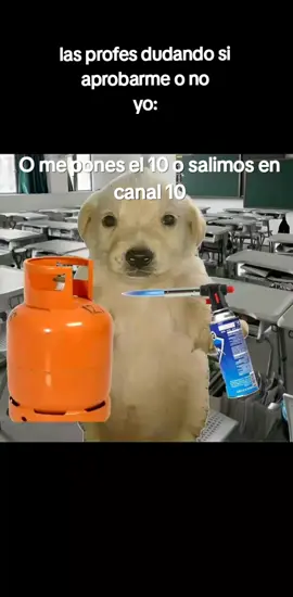 o apruebo o apruebo🔪#fyppppppppppppppppppppppp #colegio #fypシ 