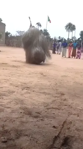 Dancing Palm Leaves 😱 #fyp #foryou #fypシ゚viral🖤tiktok #fyppppppppppppppppppppppp #fypシ゚ #fyppp