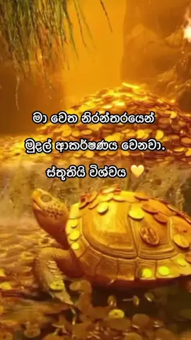 ඔයාට නිරන්තරයෙන් මුදල් ආකාර්ෂණය වෙනවා💛 #විශ්වශක්තිය #සොබාදහම_nature #විශ්වආකර්ෂණනීතිය #ධනාත්මකසිතුවිලි #විශ්වමාතාව #සතුට #කෘතවේදී #ආදරය #කරුණාව #සාර්ථකත්වය #දියුණුව #ජයග්‍රහනය #කැපවීම #lawofattraction #positivevibes #miracles #goodvibes #goodvibes #thanking #universe #overcome #everyone #allfollowers 