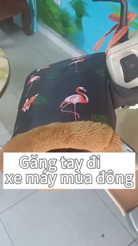 Găng tay đi xe máy mùa đông siêu ấm #mebacnam  #gangtay  #gangtaydixemay  #xuhuong2024 