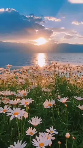 #CapCut #เสียงประกอบคลิป  #เสียงไม่มีลิขสิทธิ์ 