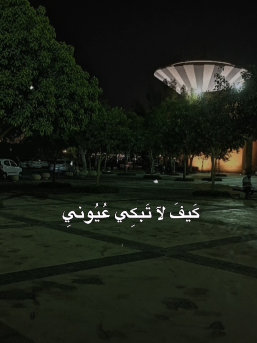 #CapCut 💙أناشيد بدون موسيقى💙 #كيف_لا_تبكي_عيوني #كيف_لا_تبكي_عيوني🥺🇵🇸 #من_حنين_الاشتياق #اناشيد_بدون_موسيقى #اناشيد #أناشيد_أسلامية #ترند #اكسبلور #سوريا #العراق 