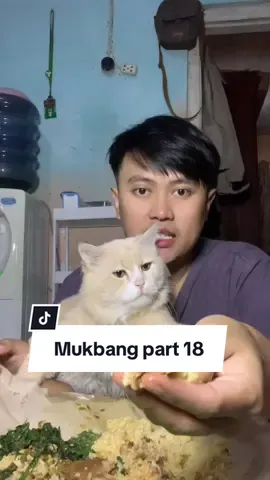Mukbang Nasi padang 10 ribu 😻 #mukbang #nasipadang #rendang 
