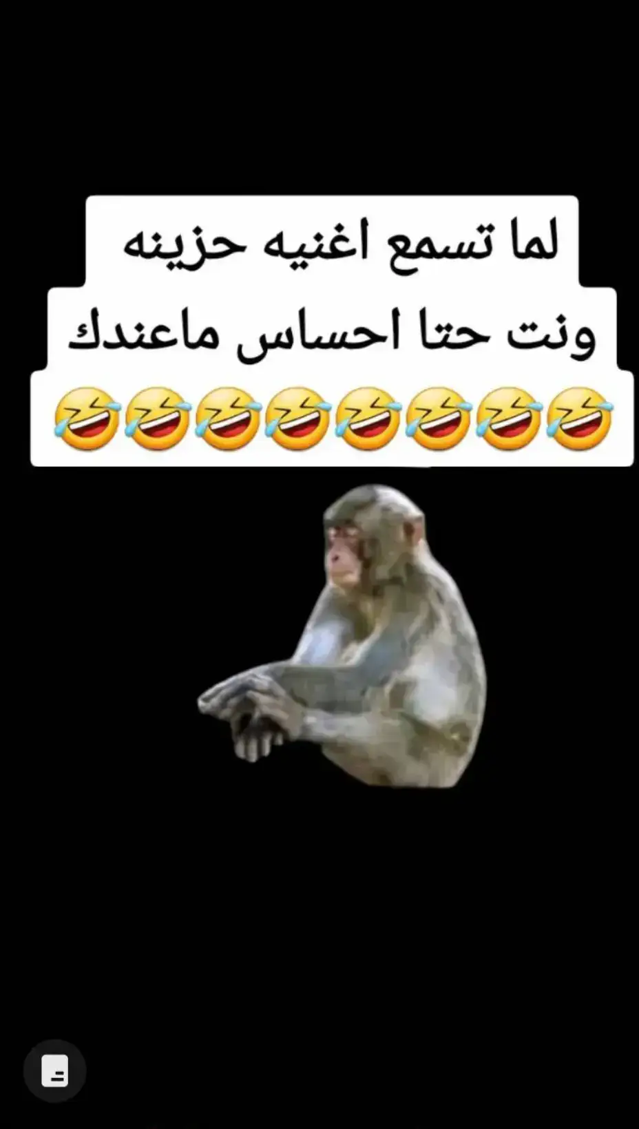 #🤪🤪🤪🤪 