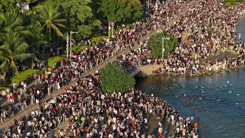 More people than birds #bird #birds #seamew 