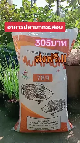 #ส่งฟรีเก็บเงินปลายทาง  #อาหารปลา20กิโลกรัม #อาหารปลา #อาหารปลากินพืช #อาหารปลายกกระสอบ 