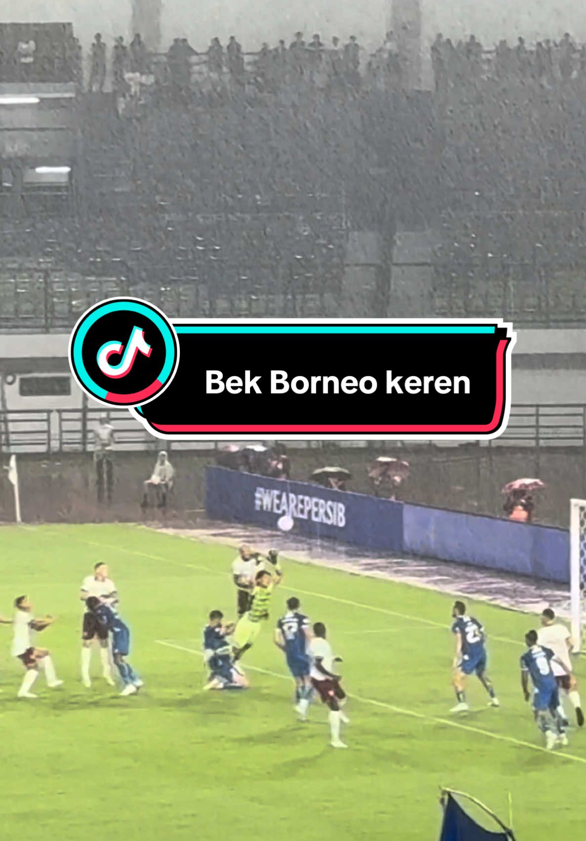Bek Borneo si botak ini selalu menang duel udara #manzvlog 