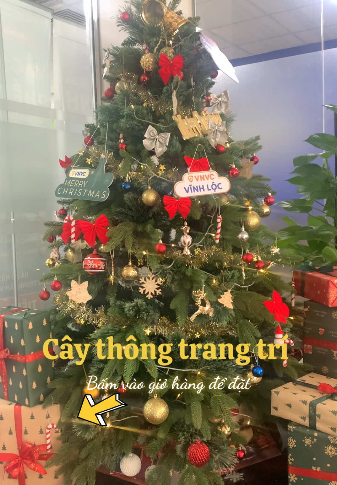 Cây thông Noel trang trí 1.8 mét