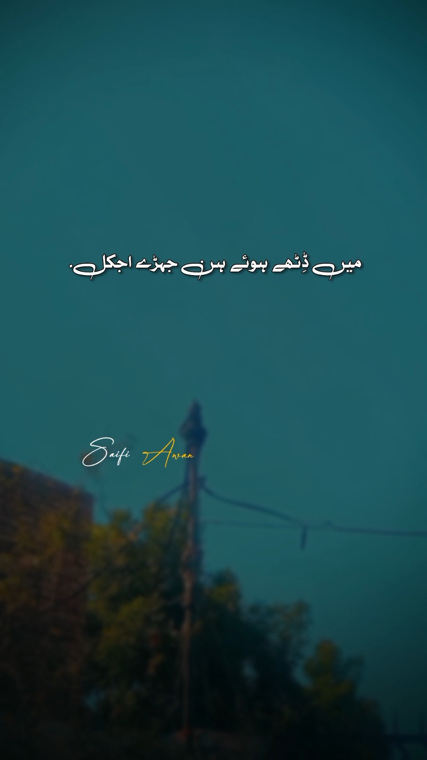 میں ڈٹھے ہوۓ ہن جیھڑے اجکل وڈے بھائیوال ہن تیرے۔ ♥ شاعر:میثم کھوکھر۔ ✍️ #میثم۔کھوکھر @mesum khokhar Main dithy Hoye hin jehry ajkl wady bhaiwal hin tery. Saifi Awan Writes. Mesum khokhar poetry status. #repost #pakistan #qutabshahi32👑🔥 #سیفی_اعوان #سرائیکی #سرائیکی_وسیب #پوئٹری #foryou #vairal🔥 Repost🚭