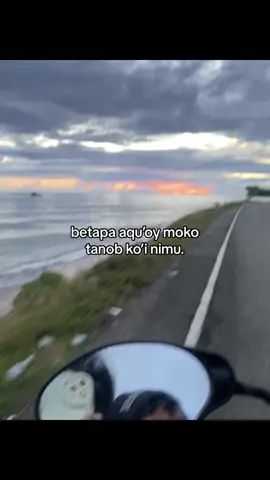 #kotamobagu #kotamobagustory #fypmanado #bolsel #tiktokmanado 