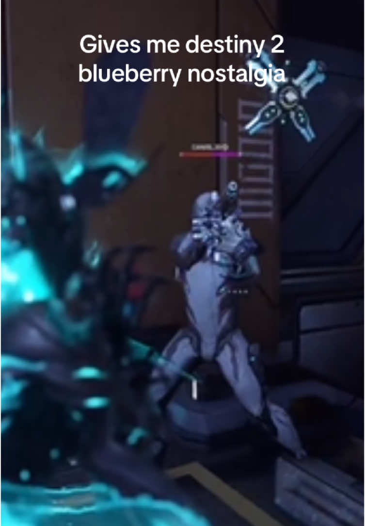 He was adorable 😭 #warframe #warframecommunity #ember #heirloom #emberheirloom #blueberry #destiny2 #destiny #new #yn #fashion 