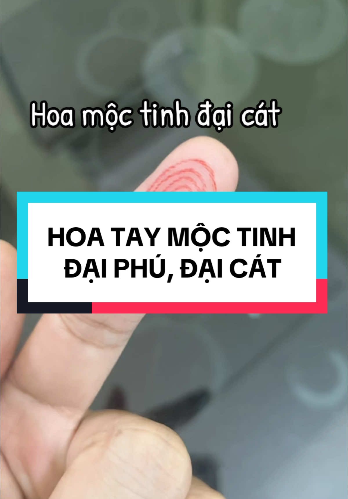 Tay bạn có mấy hoa nào @TÍP TĂNG V1 TẠI NHÀ #TikTokAwardsVN #xuhuong2024 #viral #hoatay #tetsumvay 