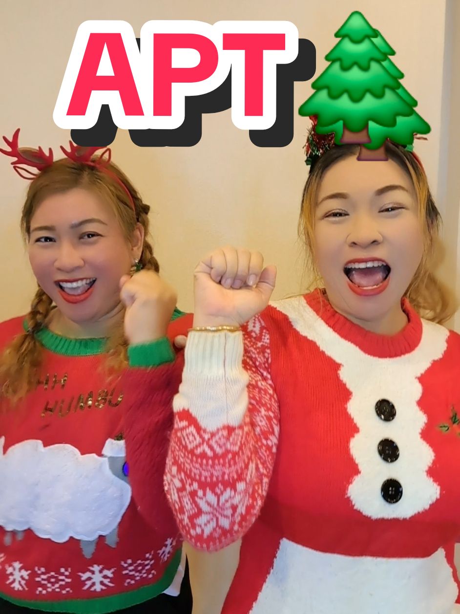 APT Ver.🌲 #apt #dance #trend #christmas #merrychristmas #fypシ゚ #jibzy555 @jubppp 