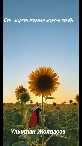 #Сенжүргенжерменжүргімкеледі #Ұлықпан #Жолдасов #Қазақәндері #Махаббат❤️ #Красивые #Казахскиепесни #трек #fyp 