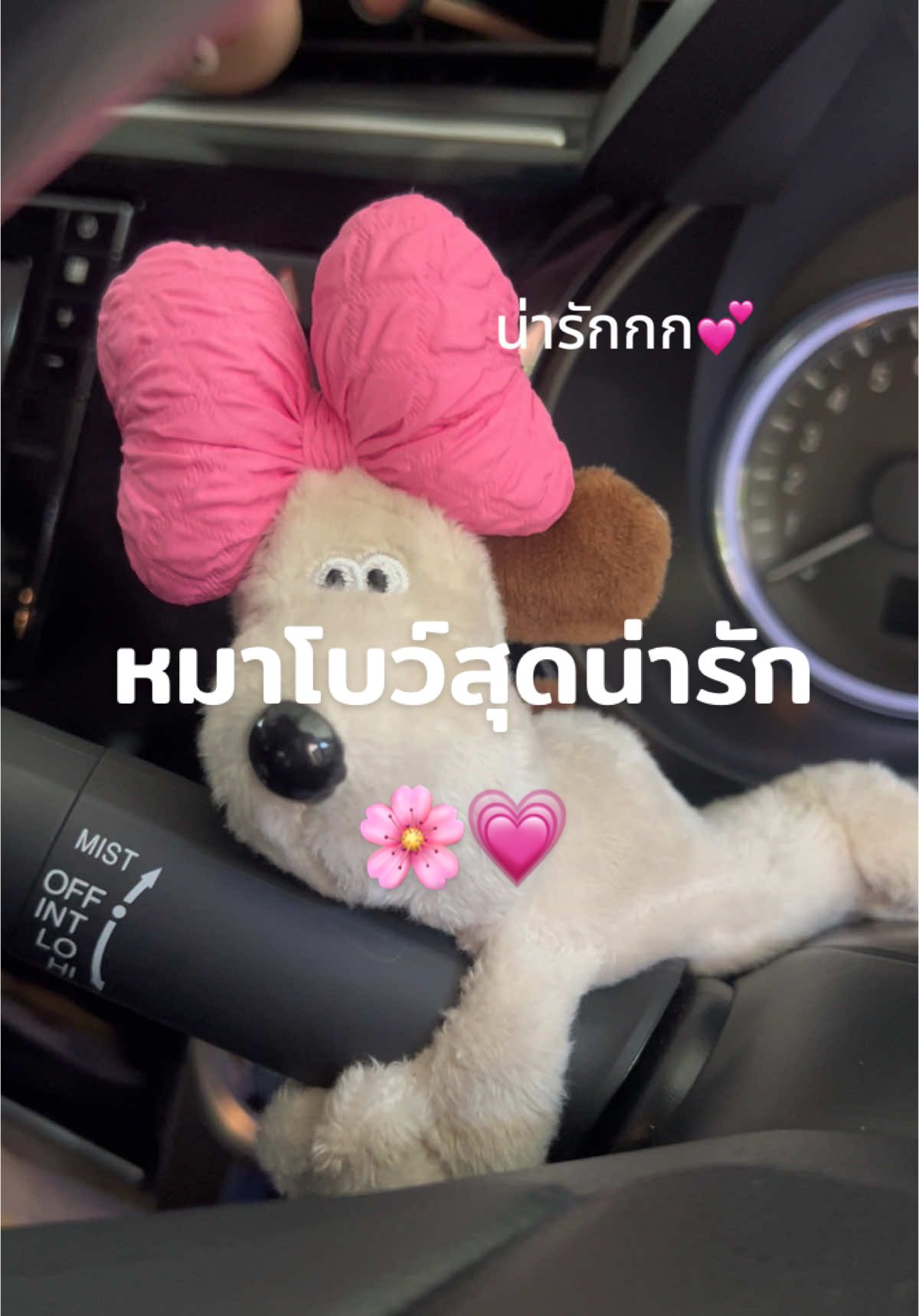 หมาโบว์ชมพูตกแต่งรถสุดน่ารัก #คนรักสัตว์ #รักรถ #แต่งรถ #คนรักรถ #ของขวัญ #ของขวัญให้แฟน #ของเล่นเด็ก #ของขวัญวันเกิด #ของใช้ในบ้าน #เทรนด์วันนี้ #เทรนด์วันนี้tiktok #เที่ยวไปเรื่อย 