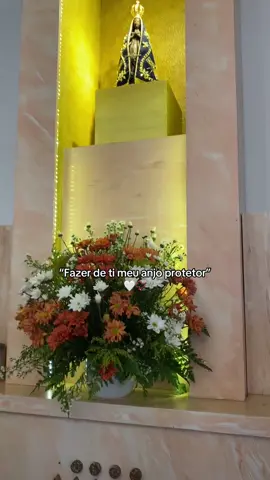 🙏🏻💖📿#fyp #foryoupag #goviral #nossasenhoraaparecida #goviral #viralditiktok #catolicos 