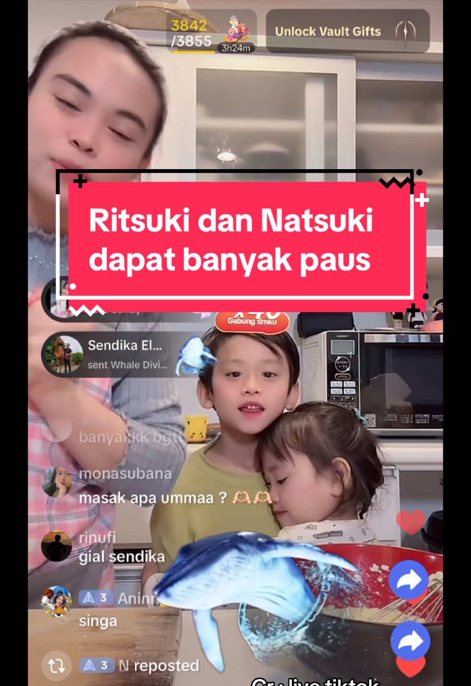 #uenofamilyjapan #natsuki #ritsuki #ritsukicore #megakenichiro 