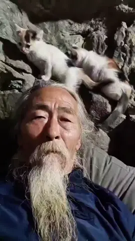 私と猫たち #sensei #senseiwu #spinjitzu #bunkai 