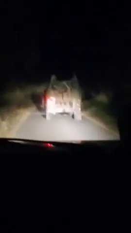 late night chill with  protocol Pak army Zinda_abaad #armylover #foryoupage #videoviral #yaari #dangerous #standwithkashmir #fyp 