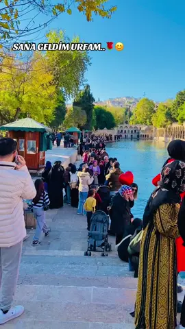 ŞANLIURFA.63 . . #şanlıurfabalıklıgöl #şanlıurfa #şanlıurfatiktok #şanlıurfam #keşfet #keşfeteyiz 