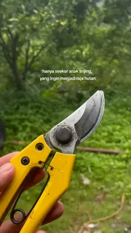on proses🙂 #petanimuda  #anakpetani  #tulangpunggung 