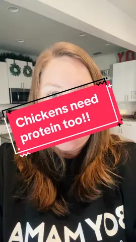 My chickens are going to be so excited! #TikTokShop #chickens #farm #chicken #protein #chickenmama 