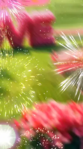 #CapCut #good night#foryou #foryoupage #fypviralシ #bdtiktokofficial🇧🇩 