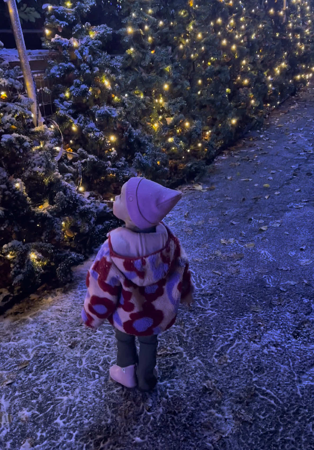 Magical time at @Marwell Zoo enjoying the light trial 🫶🏼🎄💫 So excited for Christmas! Wait until you see Ettie shovelling peas in her mouth haha!! 
