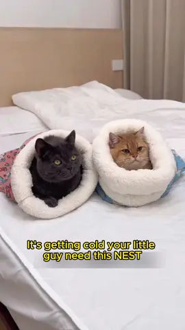 So cute for your furry friends💕🥳#cat #sleepingbag #catbed #catsoftiktok #catlover #foryourpage 