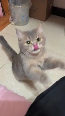 It wants to eat something delicious 🥹