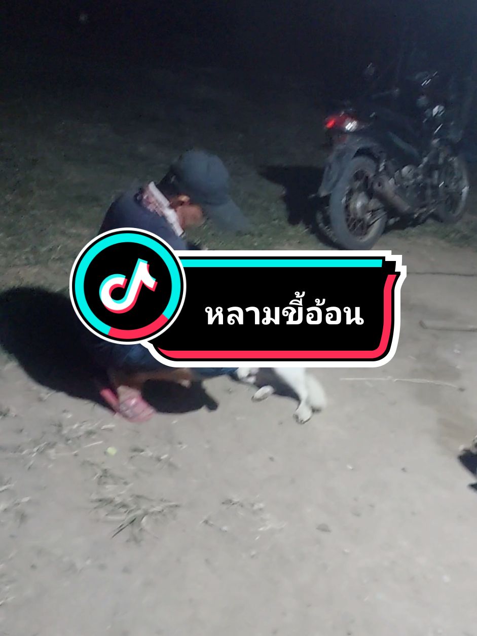 #หลามเองฮะหมาเฝ้ายุ้ง #คลิปหมา #ทาสหมา #หมาน่ารัก #หมา 