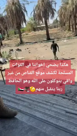 #جيش_الهنا🇸🇩 #مشتركة_سم_الجنجويد #دبل_ليه🦅 #منتخبنا_الوطني🇸🇩🦅 #راجعين_يا_وطنا #ارض_المحنة❤️🤟 