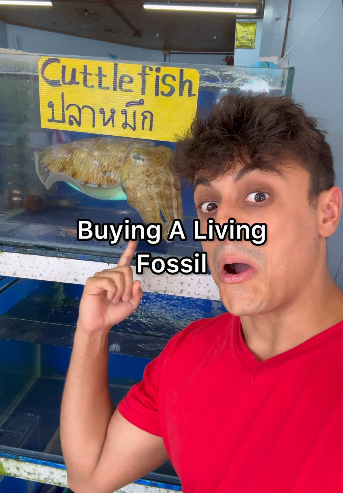 Who wants a bite? 👀 #seafood #seafoodlover 